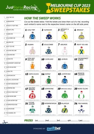melb cup sweep|Melbourne Cup Office Sweep Form A4 Free .